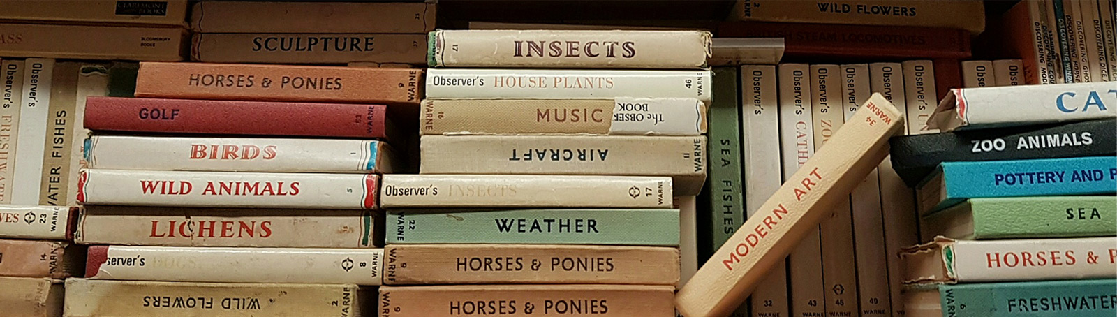 Past Sentence Faversham - Secondhand Books Bought and Sold